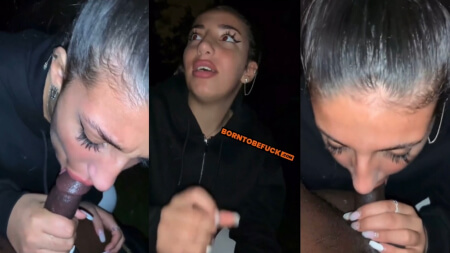 Lyna the Algerian Drain the Balls of her Friend BBC in a Park Porn Video Leaks Borntobefuck